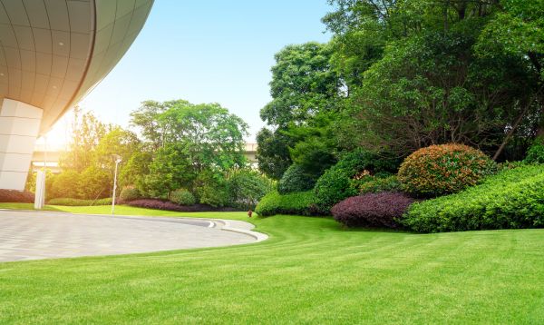 Commercial Lawn Care in Saint Peters