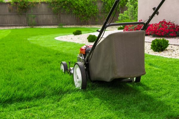 Grass Mowing in Saint Peters