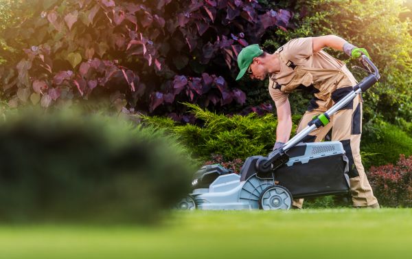 Lawn Care And Maintenance in Saint Peters