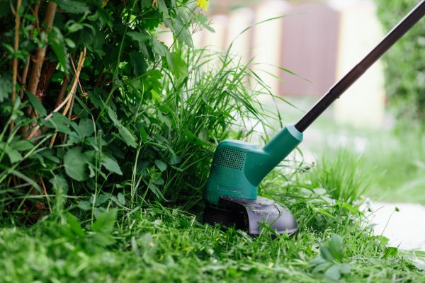 Weed Whacking in Saint Peters