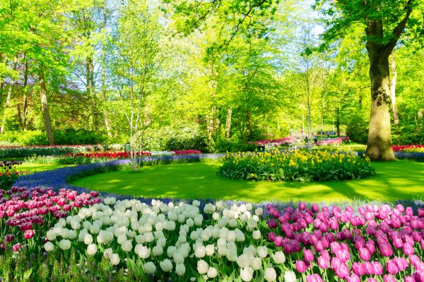 Spring Lawn Care in Saint Peters