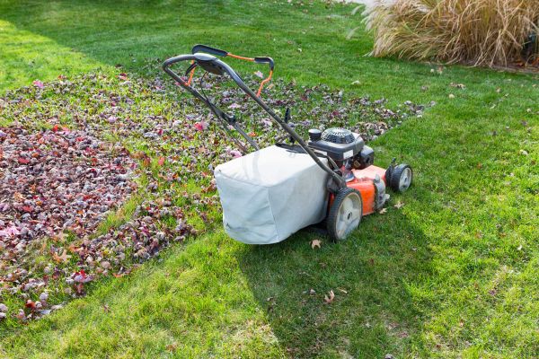 Seasonal Lawn Care in Saint Peters