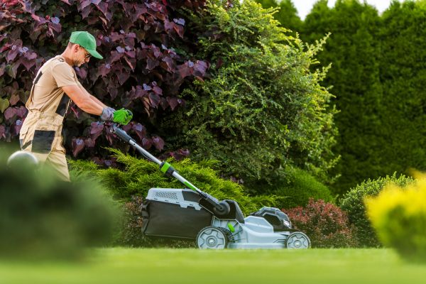 Lawn Management in Saint Peters