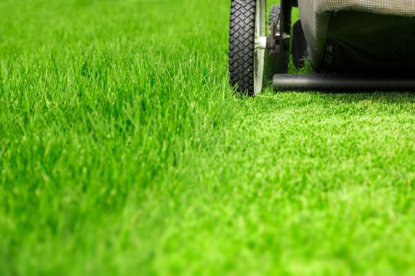 Weekly Lawn Care in Saint Peters