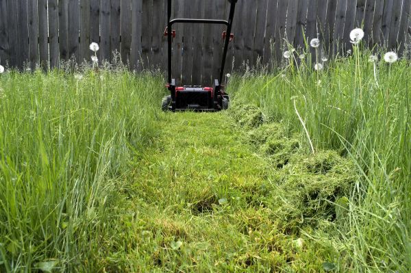High Grass Mowing in Saint Peters