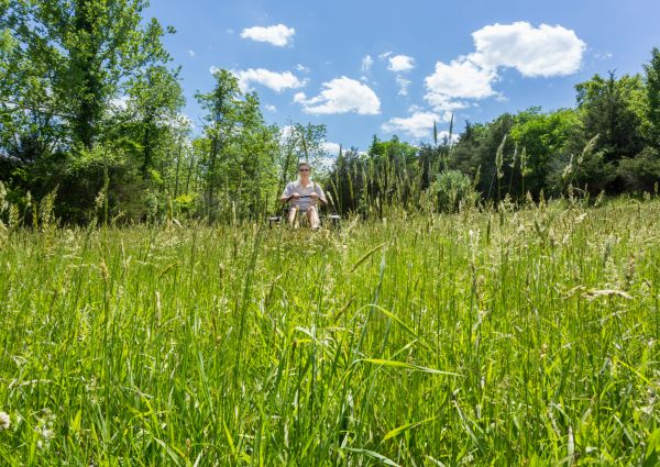 Long Grass Mowing in Saint Peters