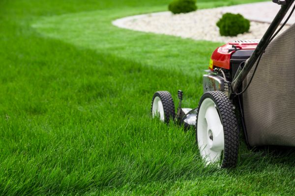 Lawn Trimming in Saint Peters