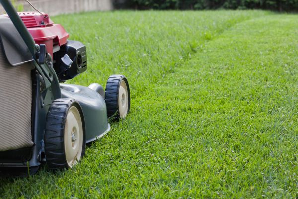 Summer Lawn Care in Saint Peters