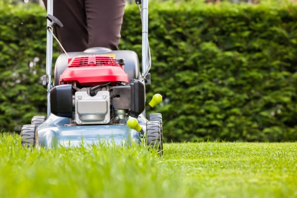 Grass Trimming Service in Saint Peters