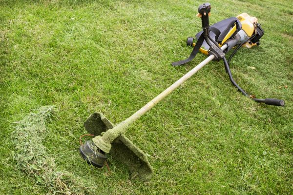 Hillside Weed Whacking in Saint Peters