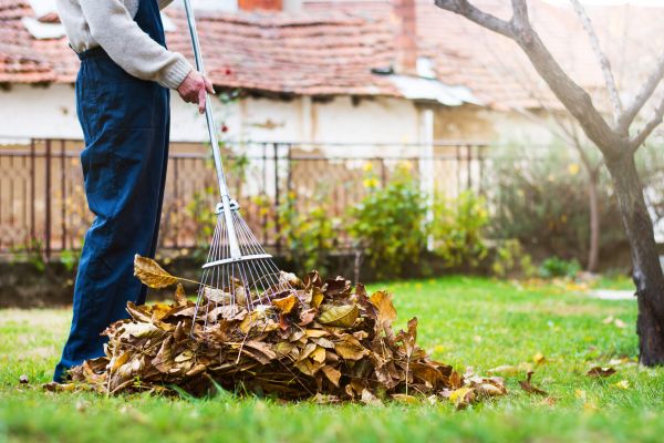 Routine Lawn Maintenance in Saint Peters