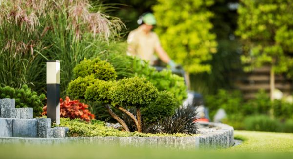 Residential Yard Maintenance in Saint Peters