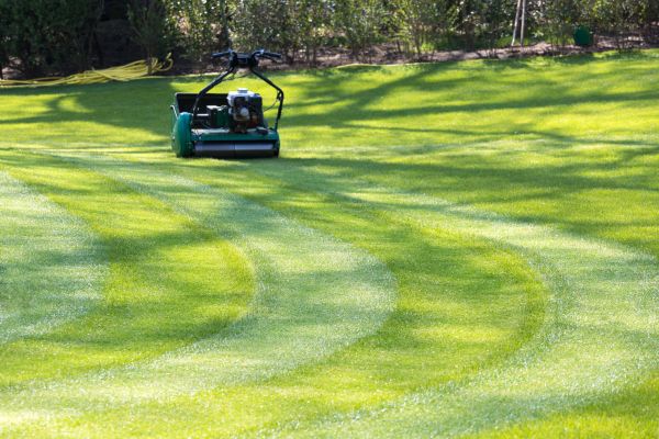 Business Lawn Mowing in Saint Peters