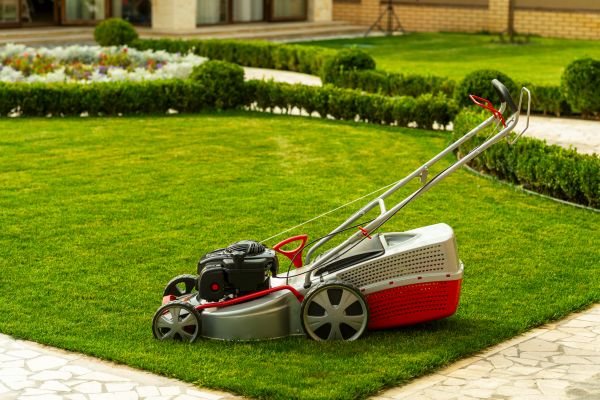 Business Grass Cutting in Saint Peters