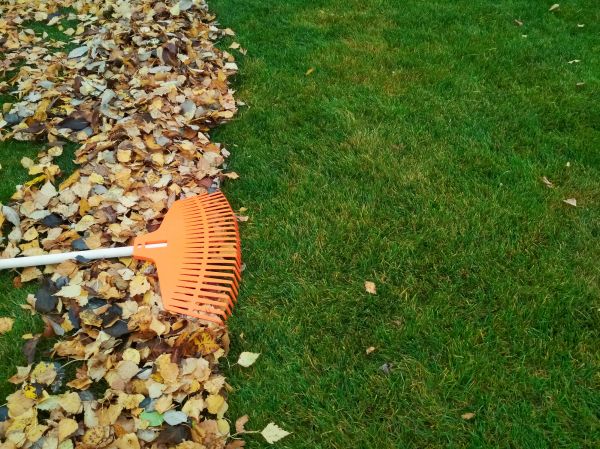 Fall Lawn Care in Saint Peters