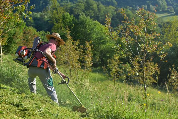Slope Mowing in Saint Peters