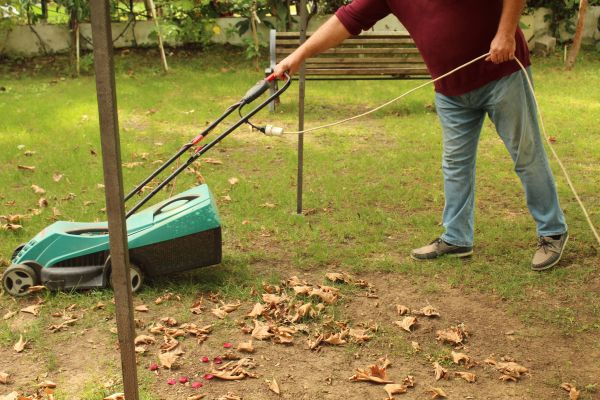 Leaves Mowing in Saint Peters