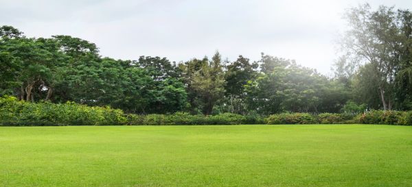 Golf Course Mowing in Saint Peters