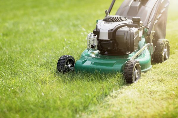 Spring Grass Trimming in Saint Peters