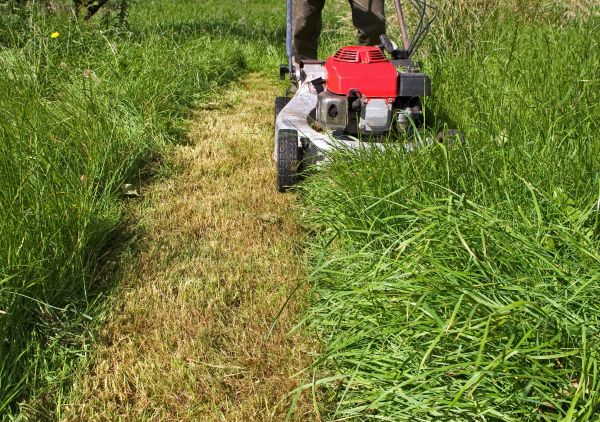 Leaf Mowing in Saint Peters