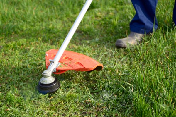 Lawn Weed Whacking in Saint Peters
