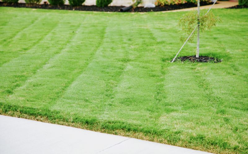 Lawn After Mowing