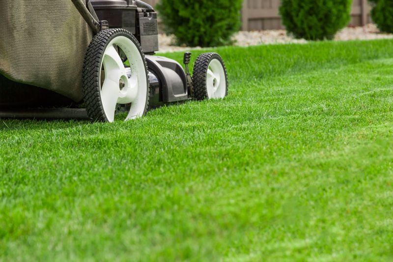 Close-up of Mowing Technique